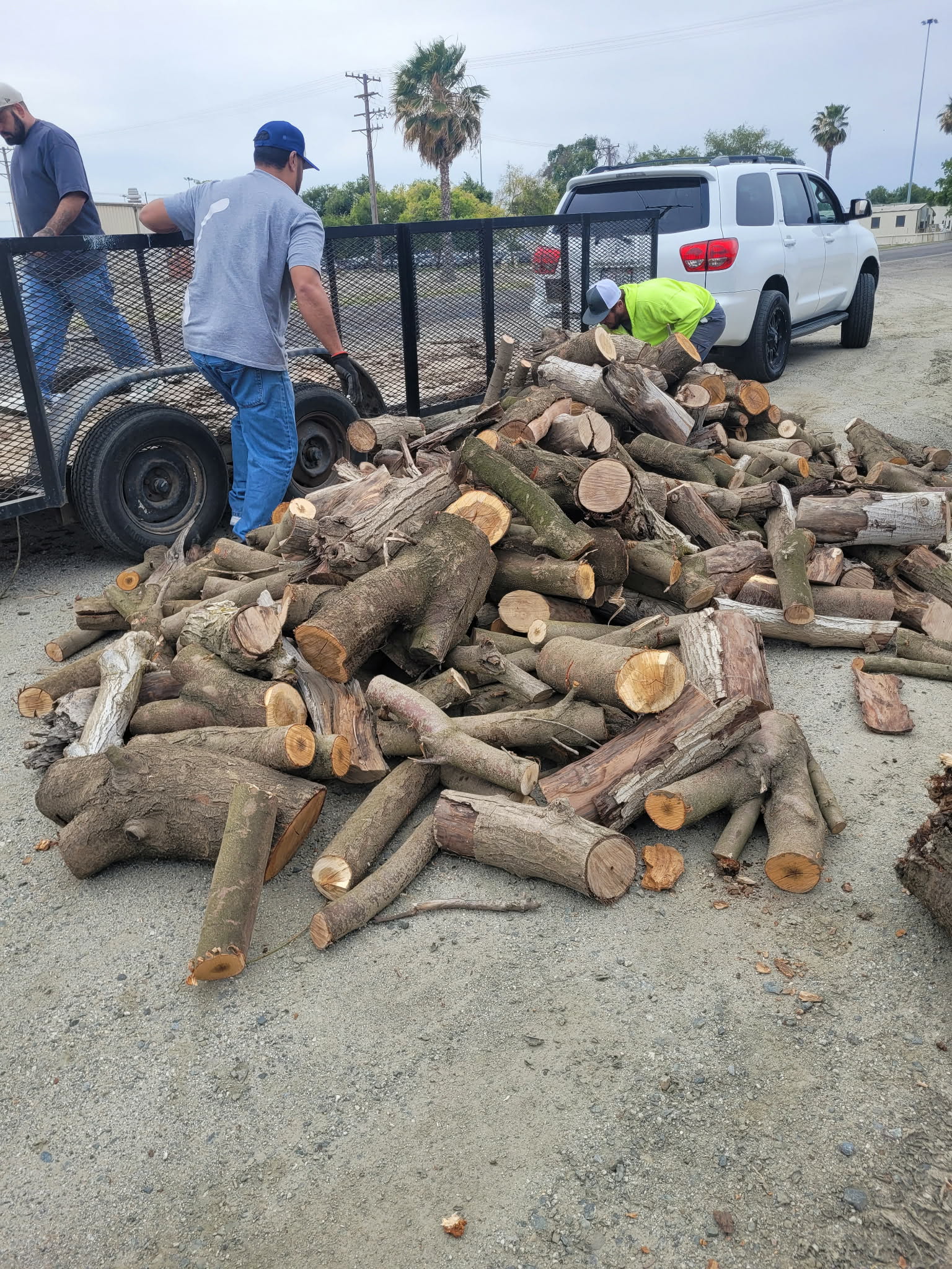 Crew unloading wood