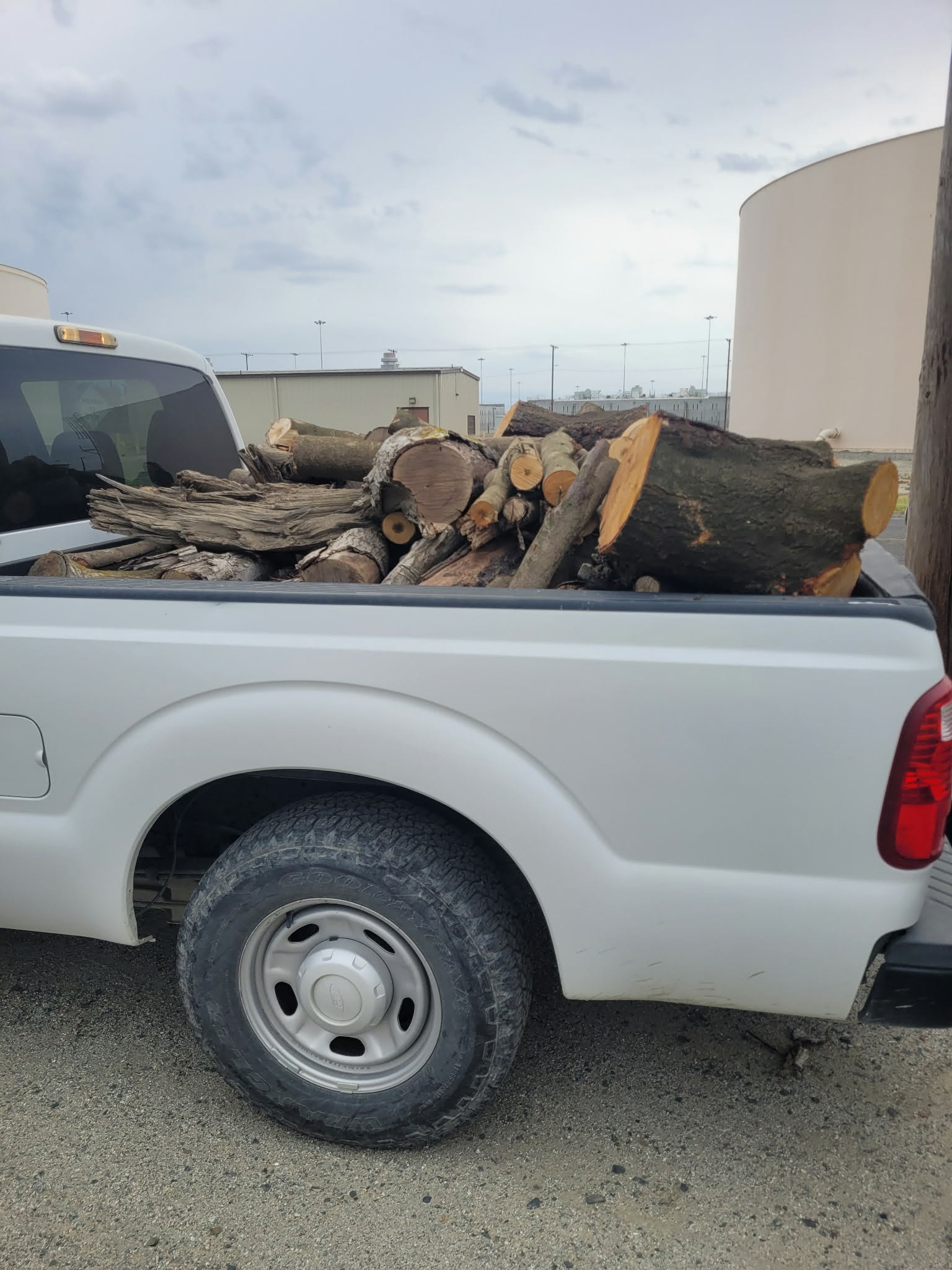 Oak and almond rounds in a pickup bed